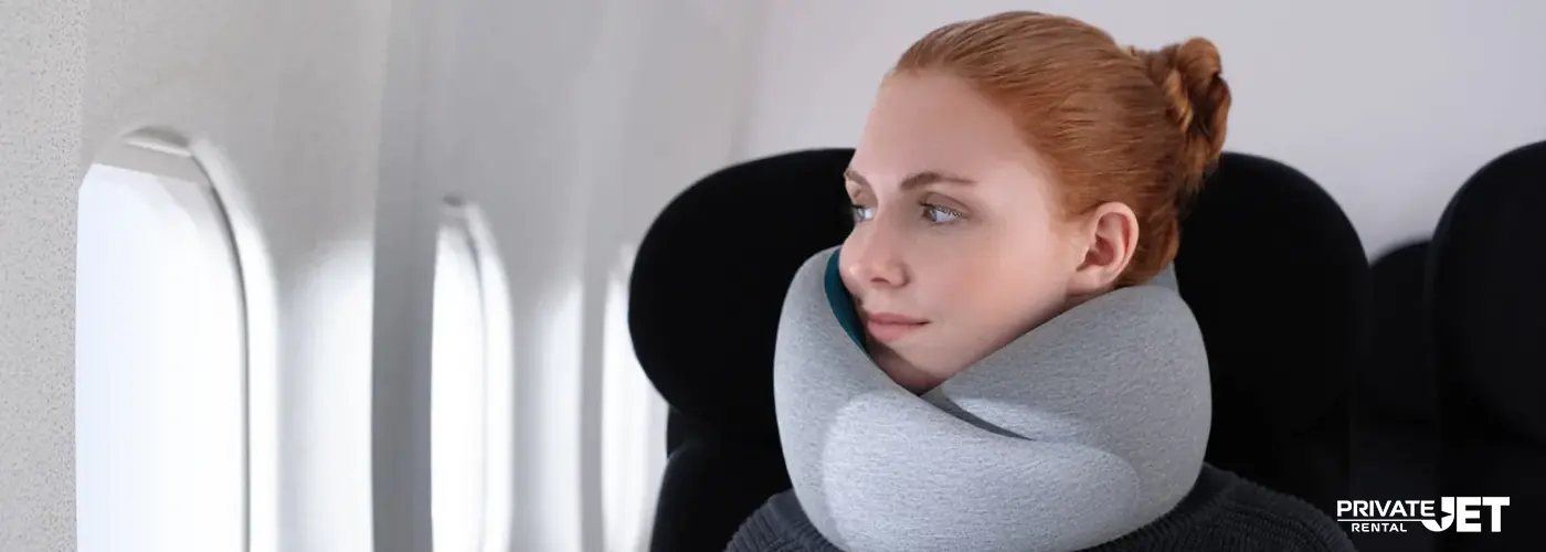 Ostrich 2024 airplane pillow