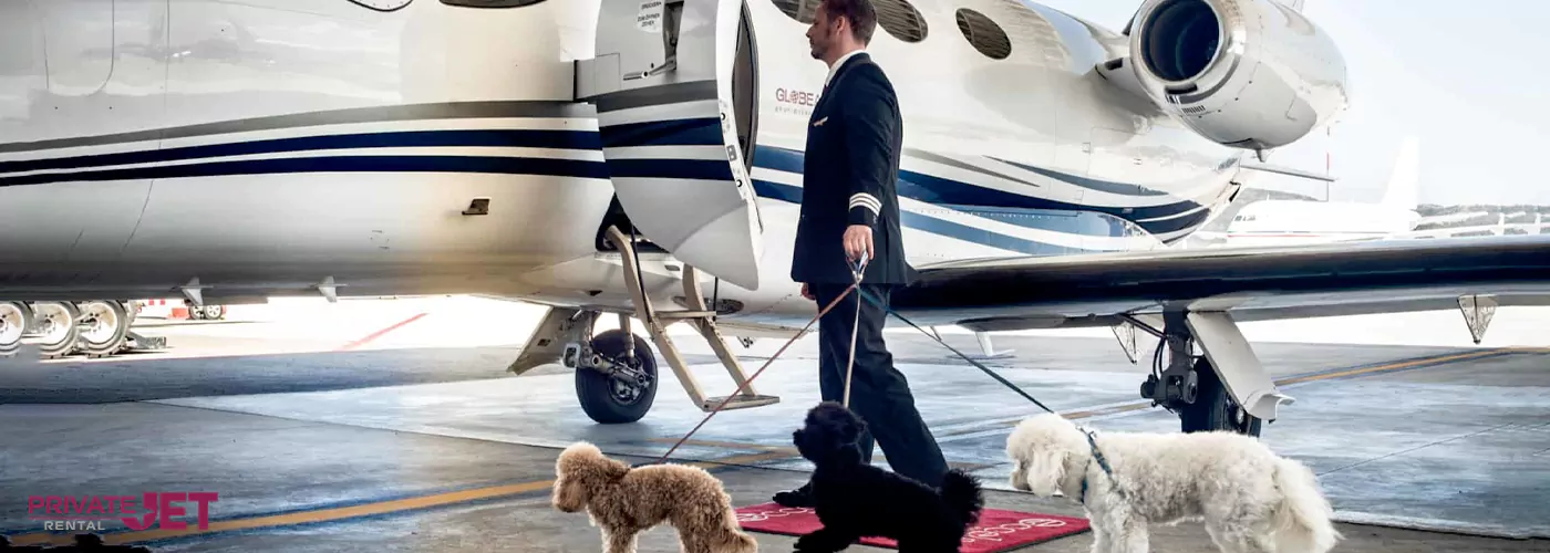 Pet friendly charter flights