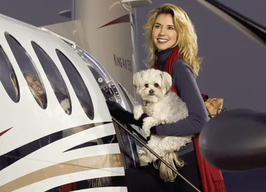 Pets on a private jet