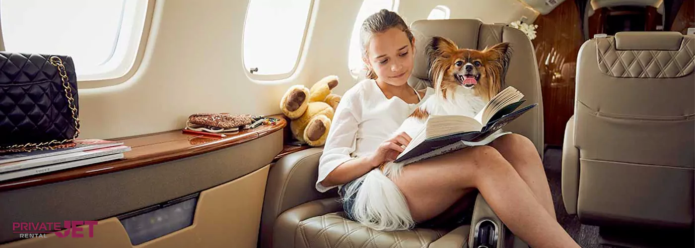 Pets On Private Jet.webp